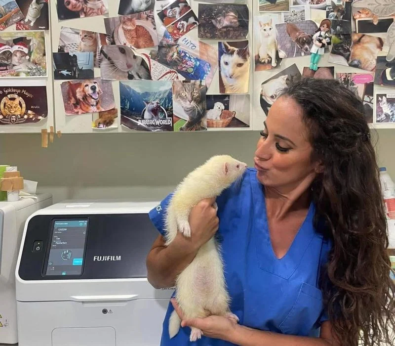 Profissional de saúde animal com um gato na Clínica Veterinária Santa Teresinha